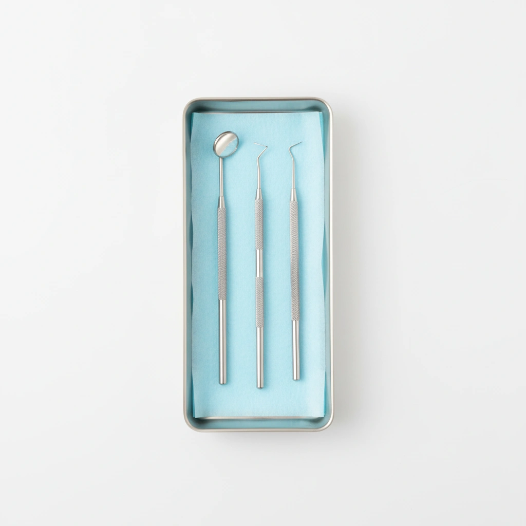 Flat lay of dental check-up instruments arranged on metal tray.